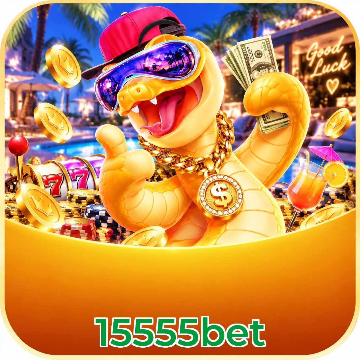 15555bet Live Dealers